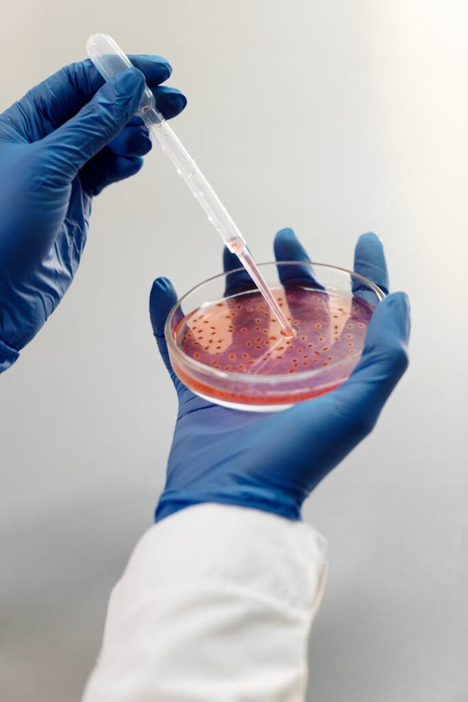 Scientist handling petri dish using a pipette in a laboratory setting, wearing blue gloves.